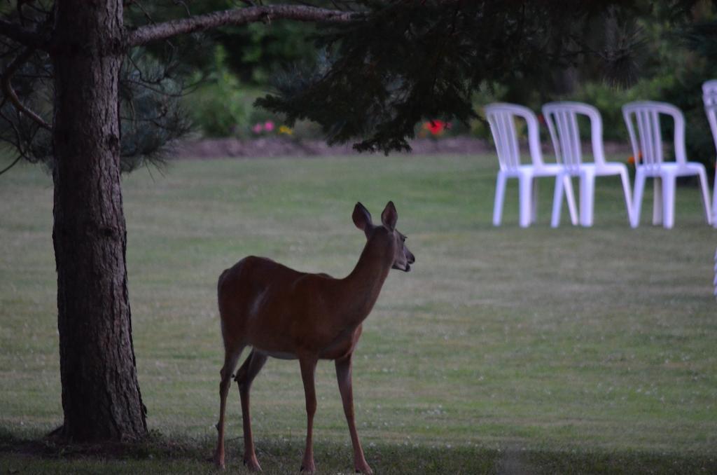 Briarwood Bed & Breakfast Elmsdale Εξωτερικό φωτογραφία