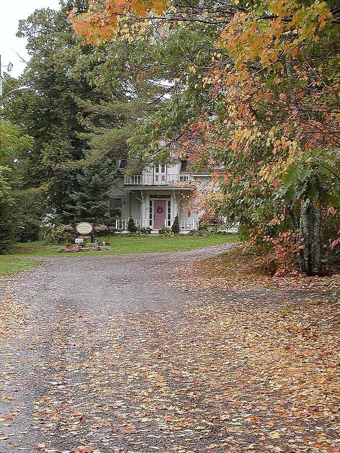 Briarwood Bed & Breakfast Elmsdale Εξωτερικό φωτογραφία