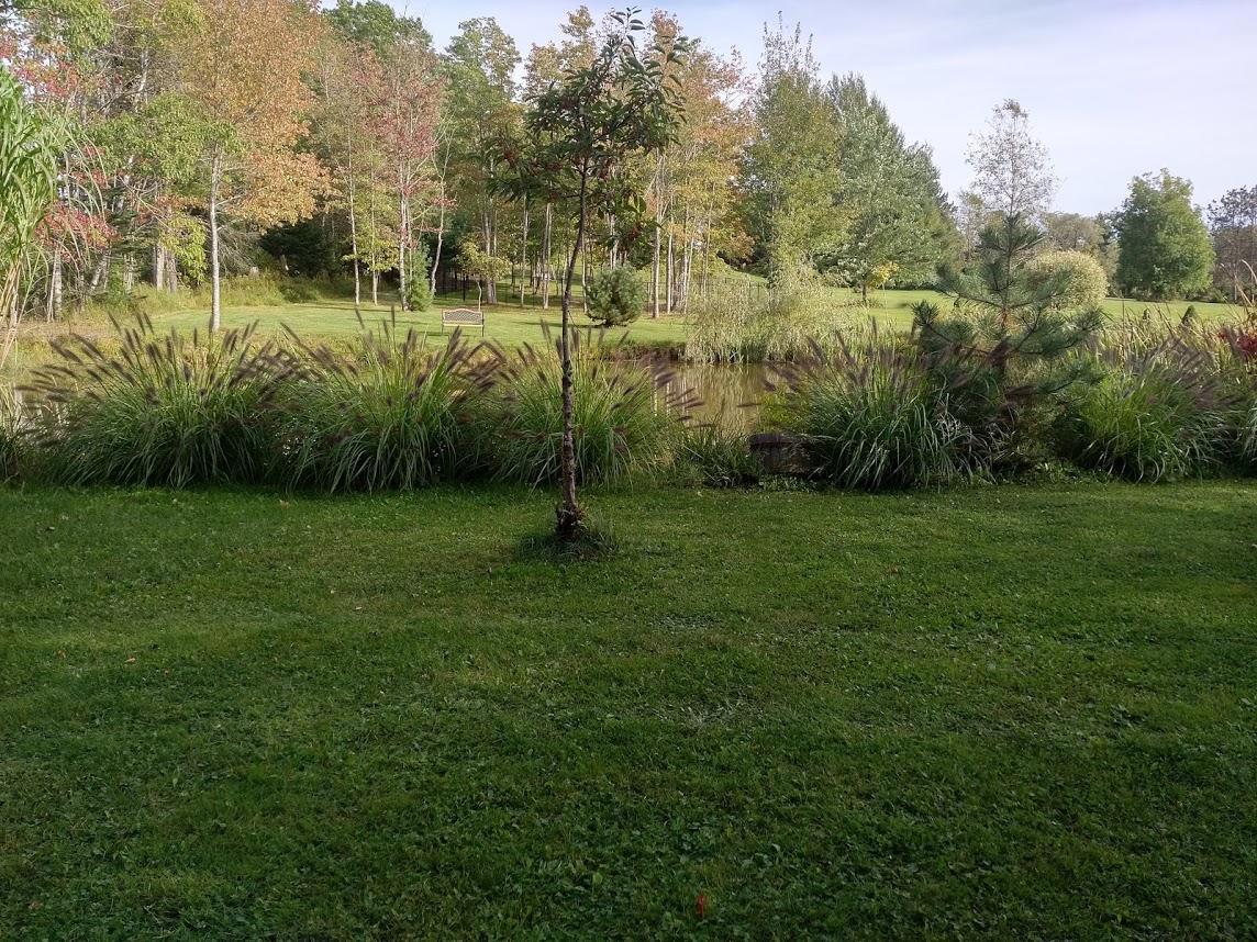 Briarwood Bed & Breakfast Elmsdale Δωμάτιο φωτογραφία