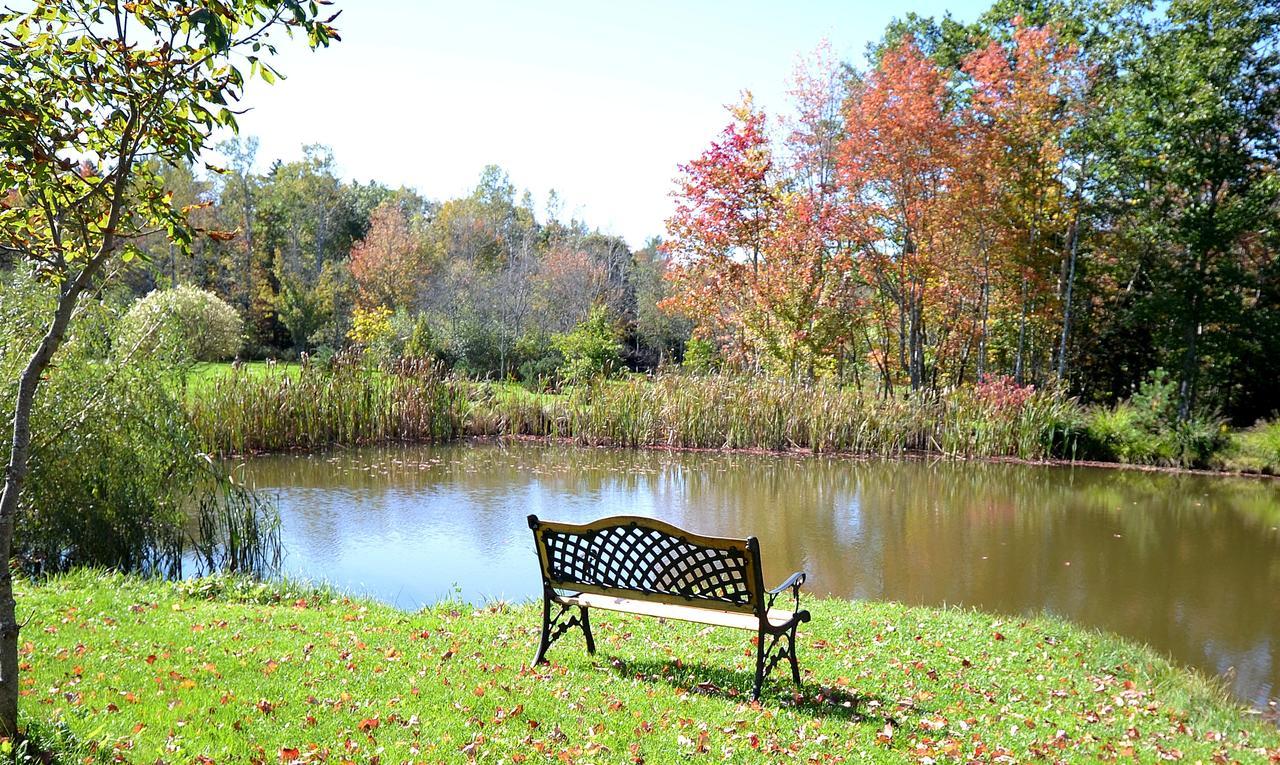 Briarwood Bed & Breakfast Elmsdale Δωμάτιο φωτογραφία