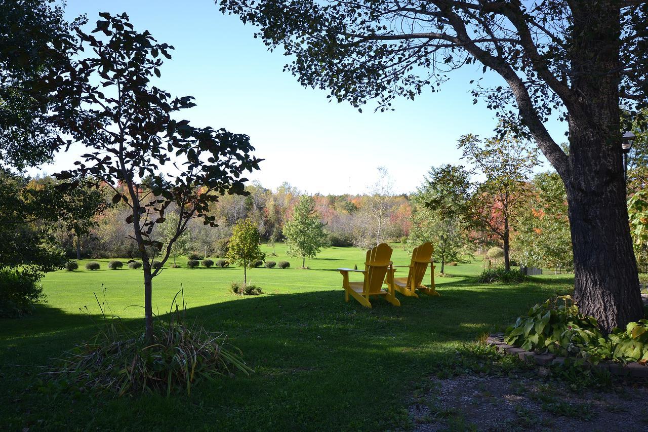 Briarwood Bed & Breakfast Elmsdale Δωμάτιο φωτογραφία