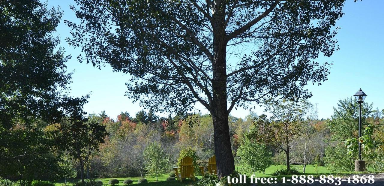 Briarwood Bed & Breakfast Elmsdale Δωμάτιο φωτογραφία